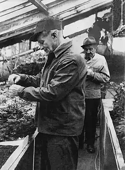 Josef Vik při práci ve skleníku zahradnictví