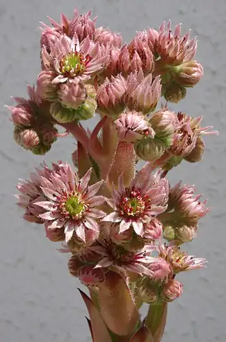 alternativní popis obrázku chybí