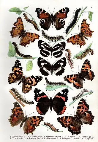 alternativní popis obrázku chybí