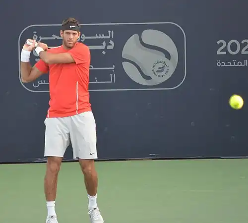 Juan Martín del Potro, 2014