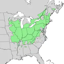 Areál rozšíření