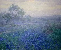 Julian Onderdonk, Pochmurný den, vlčí boby u San Antonia, 1918