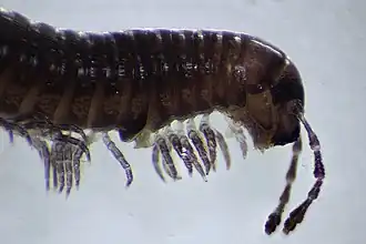 alternativní popis obrázku chybí