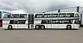 NEOPLAN Jumbocruiser