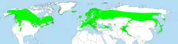 Areál rozšíření