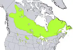 Areál rozšíření