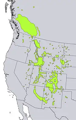 Areál rozšíření