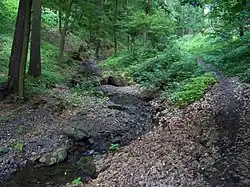 Lhotecký potok v Károvském údolí