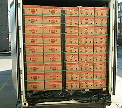 Přeprava banánových krabic v chladírenském kontejneru při teplotě 13,5 °C