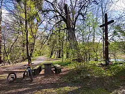 Přírodní rezervace Łężczok