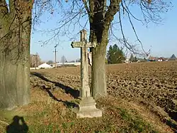 Kříž na křižovatce jižně od Lípy (Q104977046).jpg