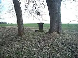 Kříž severovýchodně od Krs (Q37442328).jpg