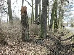 Kříž u Bzí u Pivovarského rybníku (Q37026466).jpg