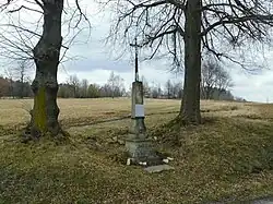 Kříž u silnice na severovýchodním okraji Nové Vsi (Q38035945).jpg
