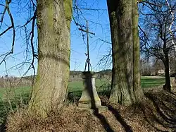 Kříž u silnice severovýchodně od Salavic (Q38094290).jpg