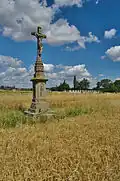 Kříž v polích