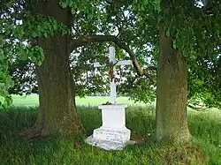 Boží muka v polích u Střížova.