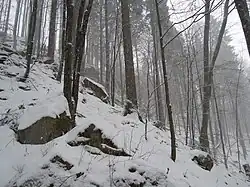 Skalní výchozy v oblasti PP Křížový