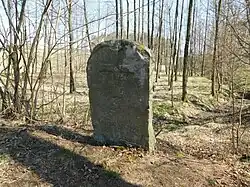 Křížový kámen severně od Mladých Bříští (Q94436780).jpg