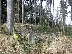 Křížový kámen u Hubenova (Q37292781).jpg