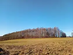 Pohled od jihovýchodu