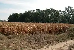 Křídlůvky, místo bývalého hradiště (4187).jpg