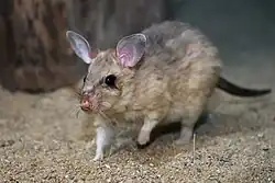 alternativní popis obrázku chybí