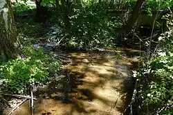 Soutok Křešovského s Pilským potokem