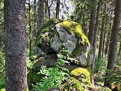 Vrcholová skála na Křemenné