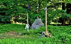 Lesní lokalita na vrcholu hřbetu