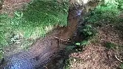 Křivoláčský potok v Orlovských lesích