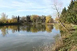 Kašparovský rybník (2019)