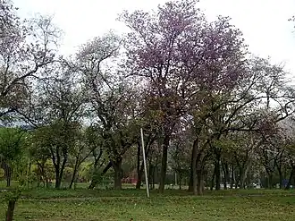 alternativní popis obrázku chybí