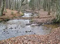 Soutok potoka s řekou Kacza