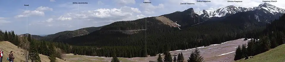 Pohled na Dolinu Kasprowu z Kalatówek