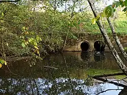 Kaltis v Vyžančiai