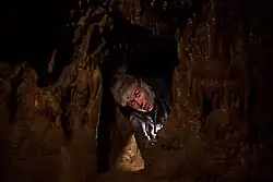 Daniel Krejčík ve filmu Kam motýli nelétají