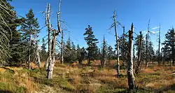 Vrcholová část Kamence