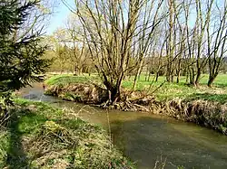 Louky u Pstružného potoka