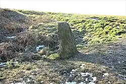 Kamenný Most-křížový kámen.jpg