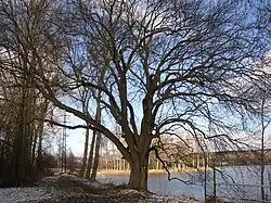 Pohled od vjv. (leden 2012)