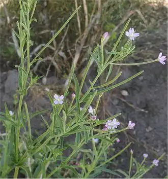 alternativní popis obrázku chybí