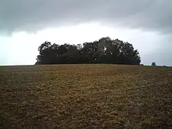 Kantorova hora (537 m n. m.)