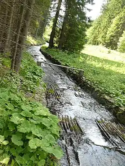 upravený tok Kaplického potoka