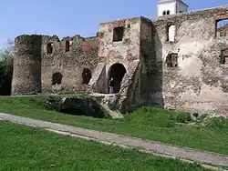 Zřícenina hradu Stari grad v Kaptolu