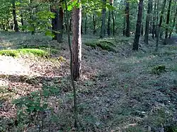 Karany zanikle Opocno 4.jpg