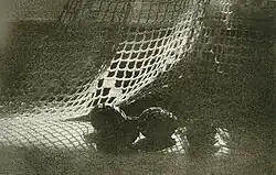 Na okně, bromolejotisk