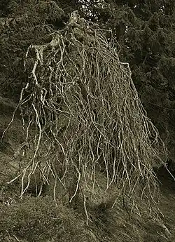 Krajiny – Jeseníky, 2012