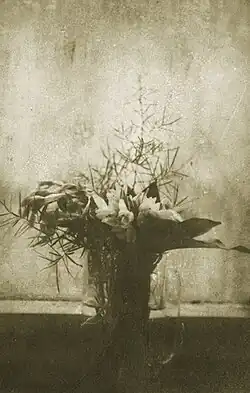 Kytička na mém okně, 1987