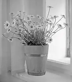 Zátiší – Na okně, 2012